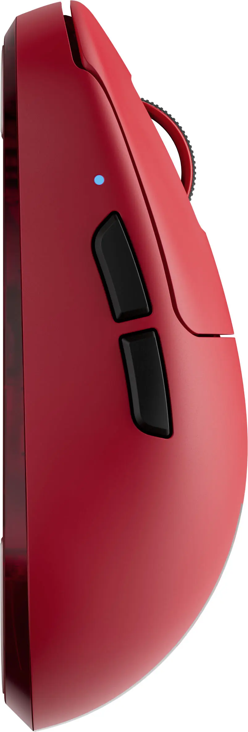 マウス・トラックボール Pulsar TenZ Signature Edition RED TenZ Signature RED Edition Gaming Mouse – Pulsar Gaming Gears