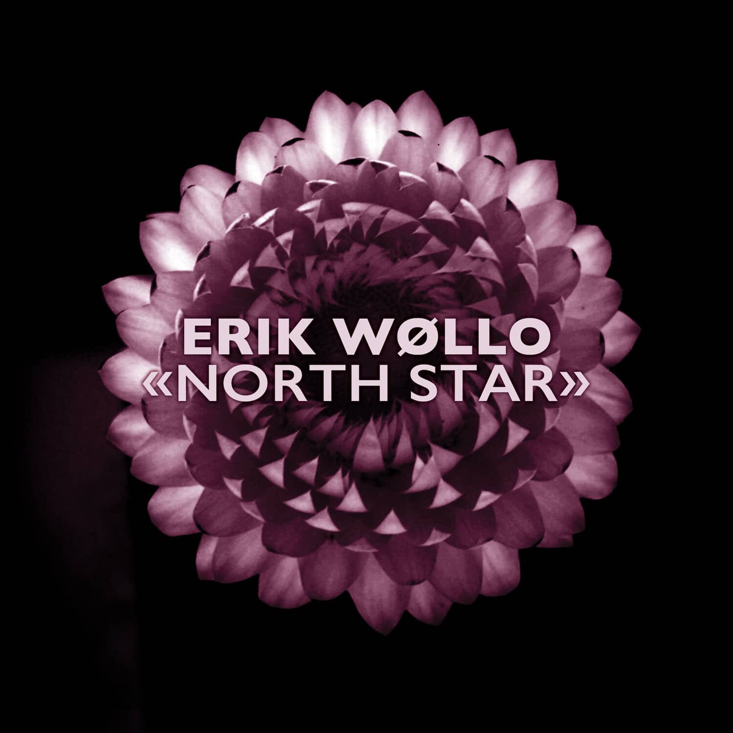 Erik Wollo - North Star   - COMPACT DISCS [CD] price history on PriceWatchPro