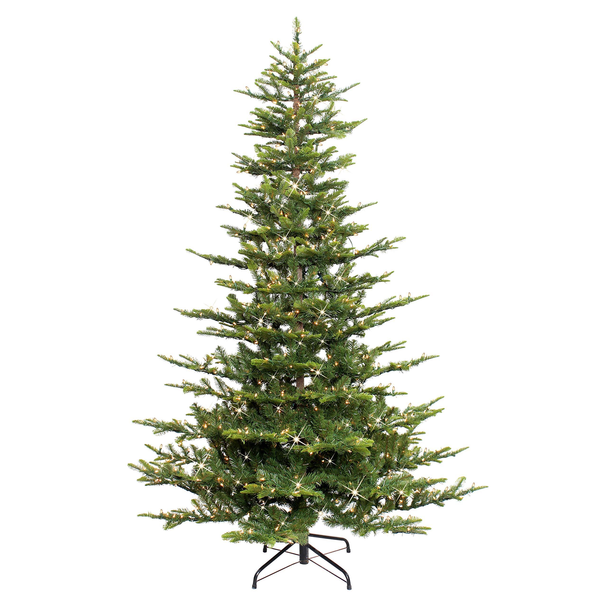 6.5' Aspen Fir with 500 Clear Lights