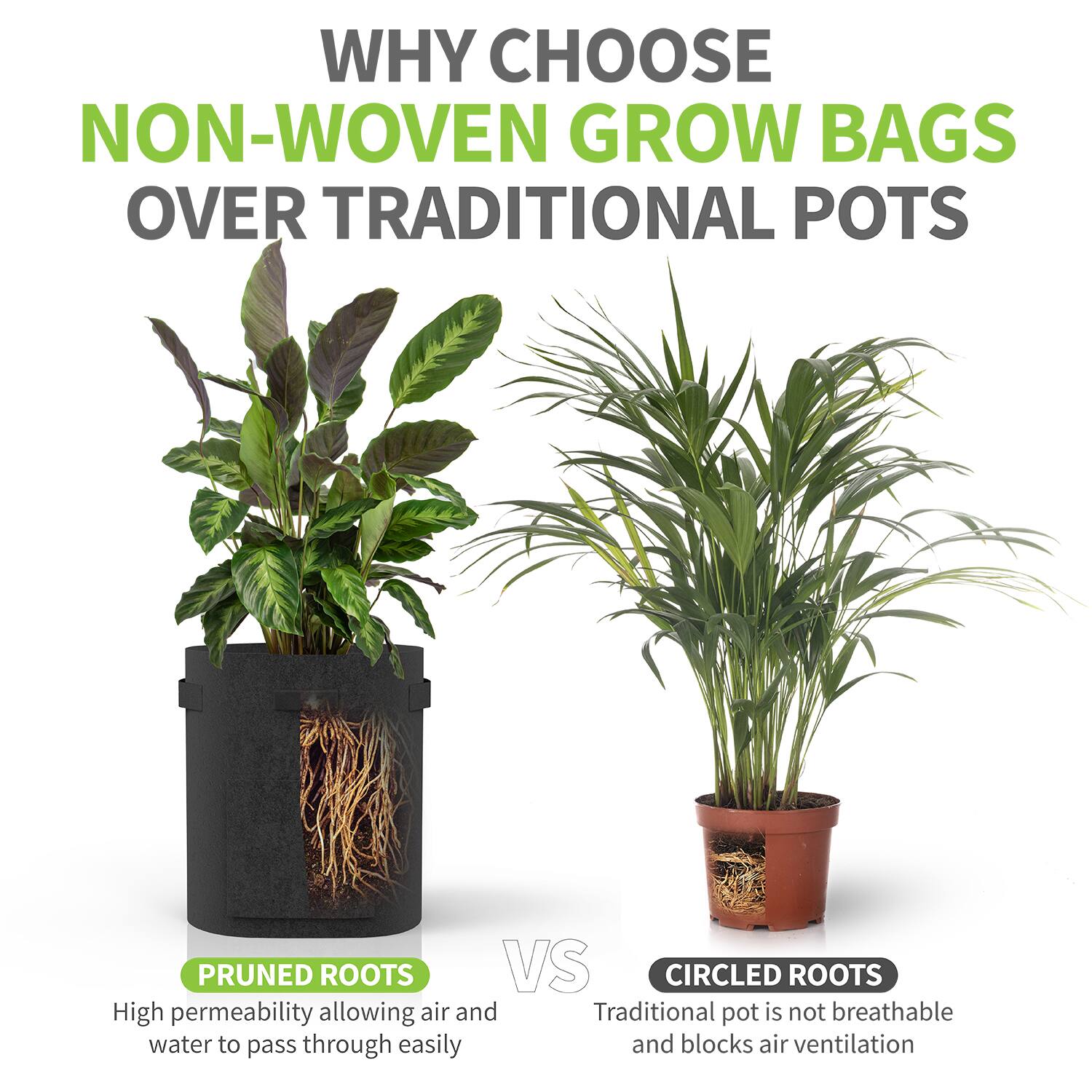 WHY CHOOSE NON-WOVEN GROW BAGS OVER TRADITIONAL POTS

PRUNED ROOTS  
High permeability allowing air and water to pass through easily

VS

CIRCLED ROOTS  
Traditional pot is not breathable and blocks air ventilation