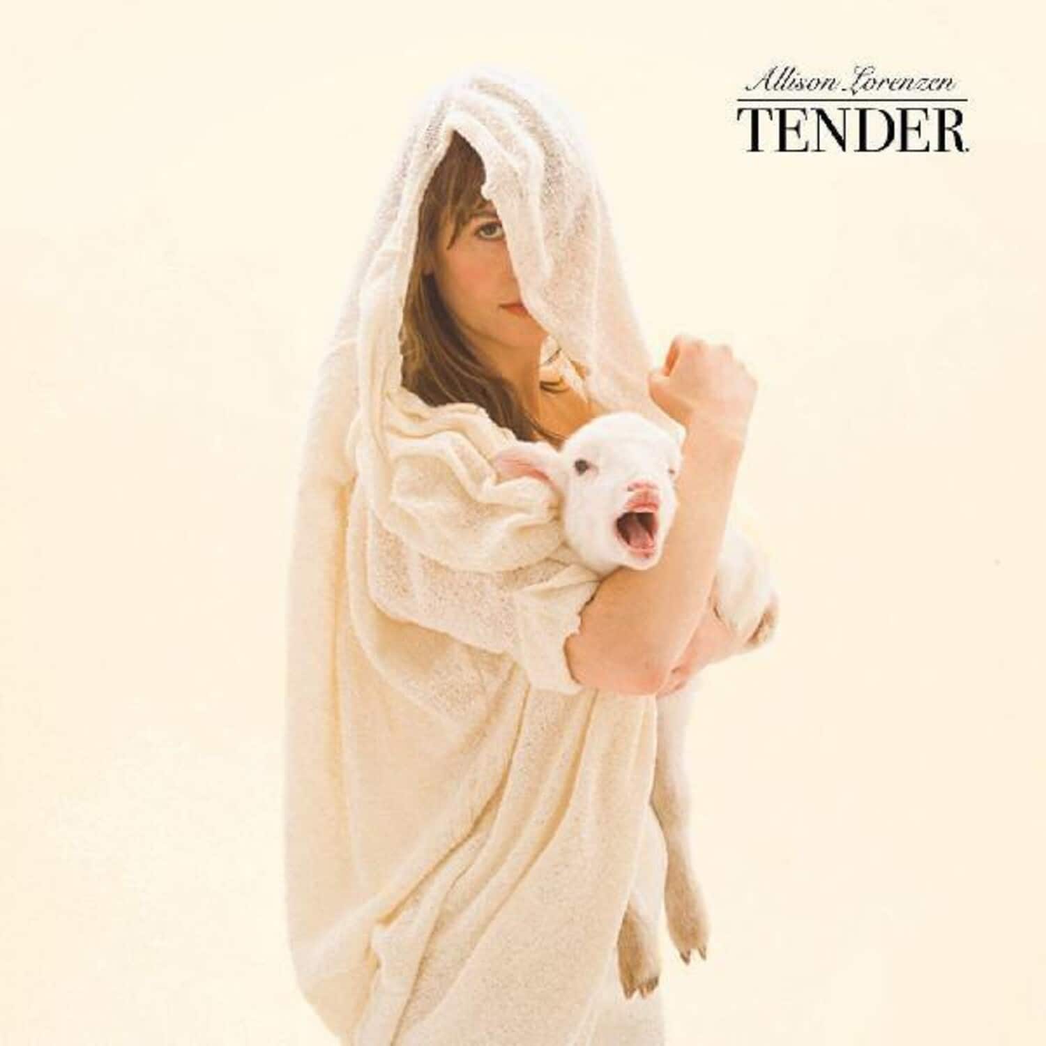 Allison Lorenzen - Tender   - VINYL LP price history on PriceWatchPro