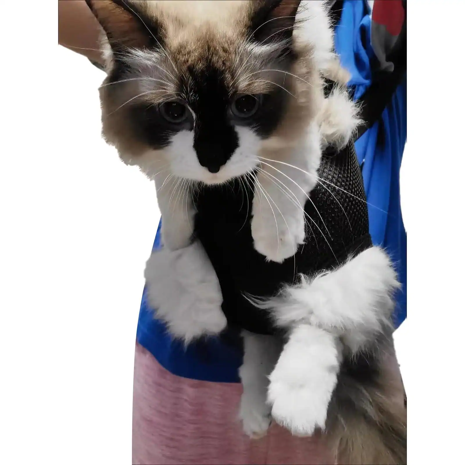 Front. Live At Space - Pet Carrier Backpack - Adjustable Front Cat Dog Travel Bag Out Easy-fit For Traveling Hiking Camping Small Medium Dogs r.