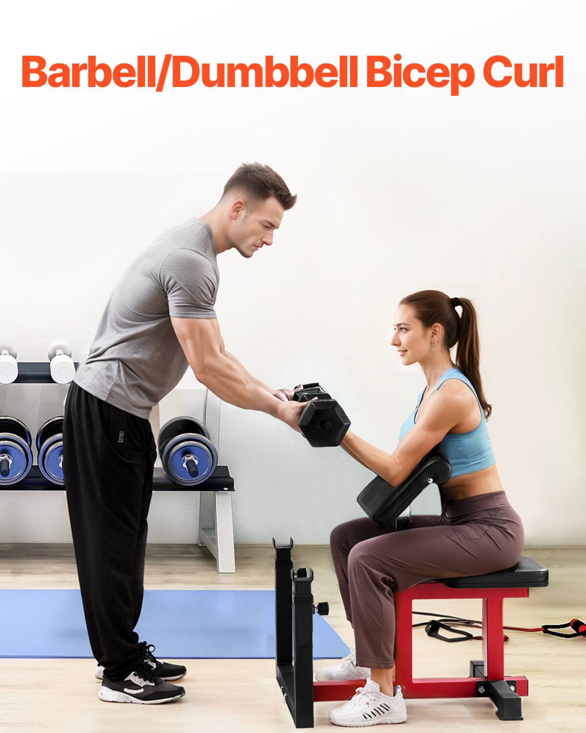 Barbell/Dumbbell Bicep Curl