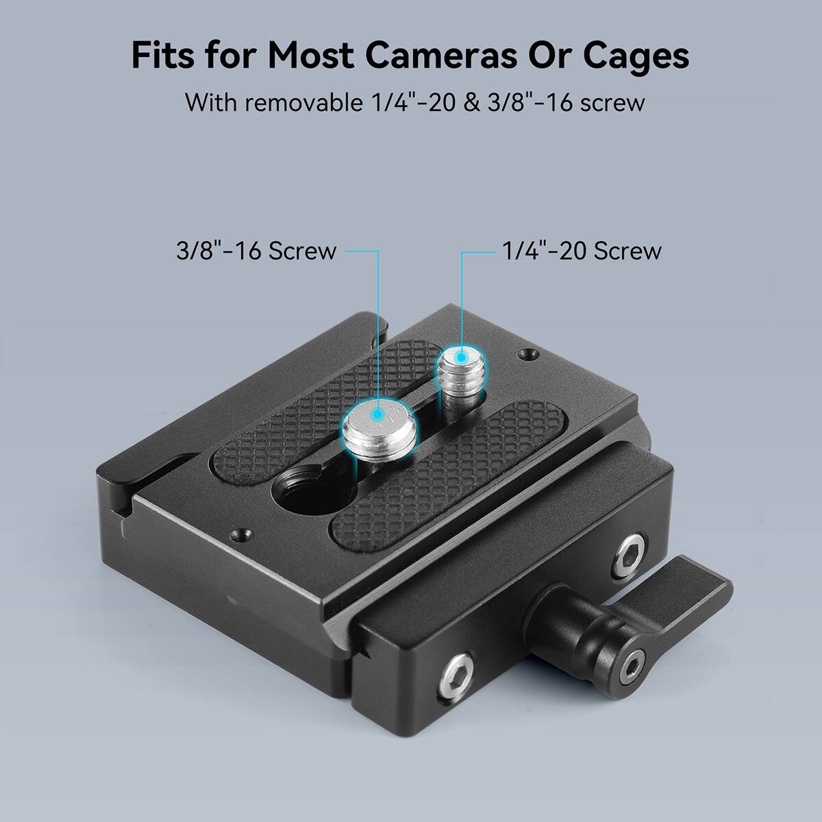 Fits for Most Cameras Or Cages  
With removable 1/4"-20 & 3/8"-16 screw  
3/8"-16 Screw  
1/4"-20 Screw