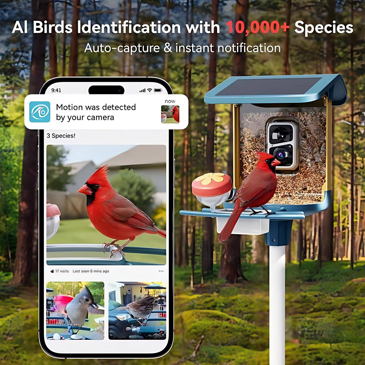 AI Birds Identification with 10,000+ Species  
Auto-capture & instant notification  

9:41  
Motion was detected by your camera  
3 Species!  

17 visits  
Last seen 6 mins ago