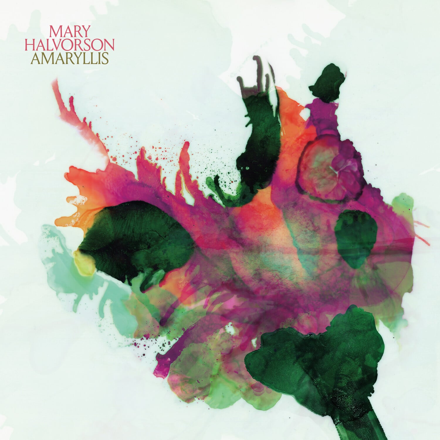 Mary Halvorson - Amaryllis   - COMPACT DISCS [CD] price history on PriceWatchPro