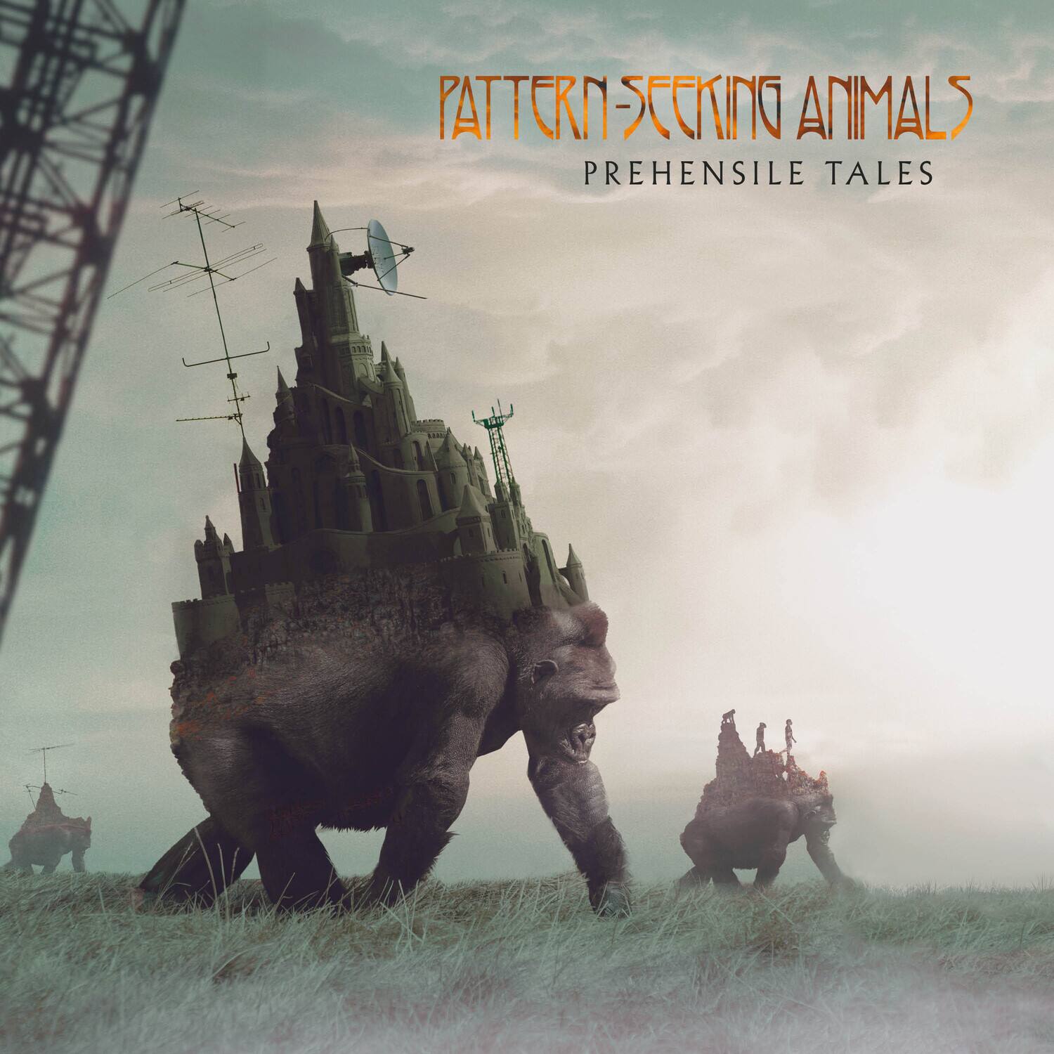 PATTERN-SEEKING ANIMALS  
PREHENSILE TALES