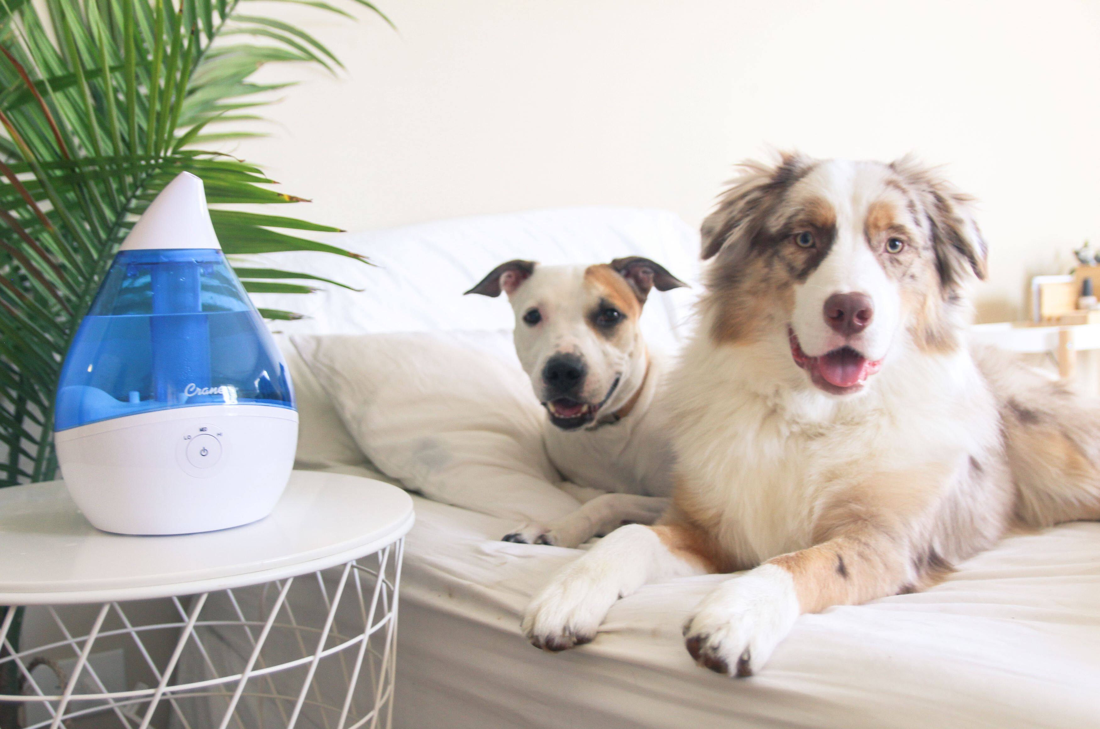 Alt View 4. CRANE - 0.5 Gal. Droplet Ultrasonic Cool Mist Humidifier - White.