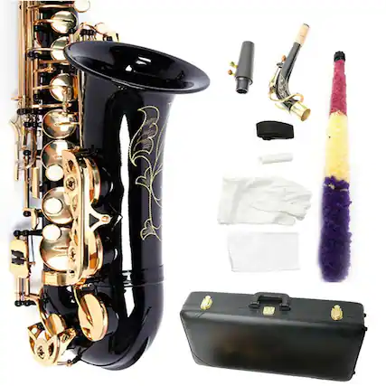 Front. Winado - New Brass Eb Alto Saxophone Black Sax w/ Other Accessories.