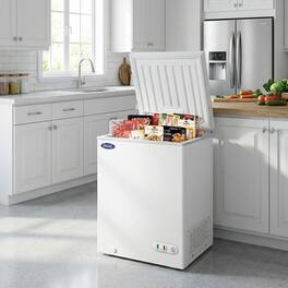 Forest'nSky - 3.0 Cu.Ft Commercial Chest Freezer - Solid Top, Lockable Lid, Ideal for Back-of-House Storage - White
