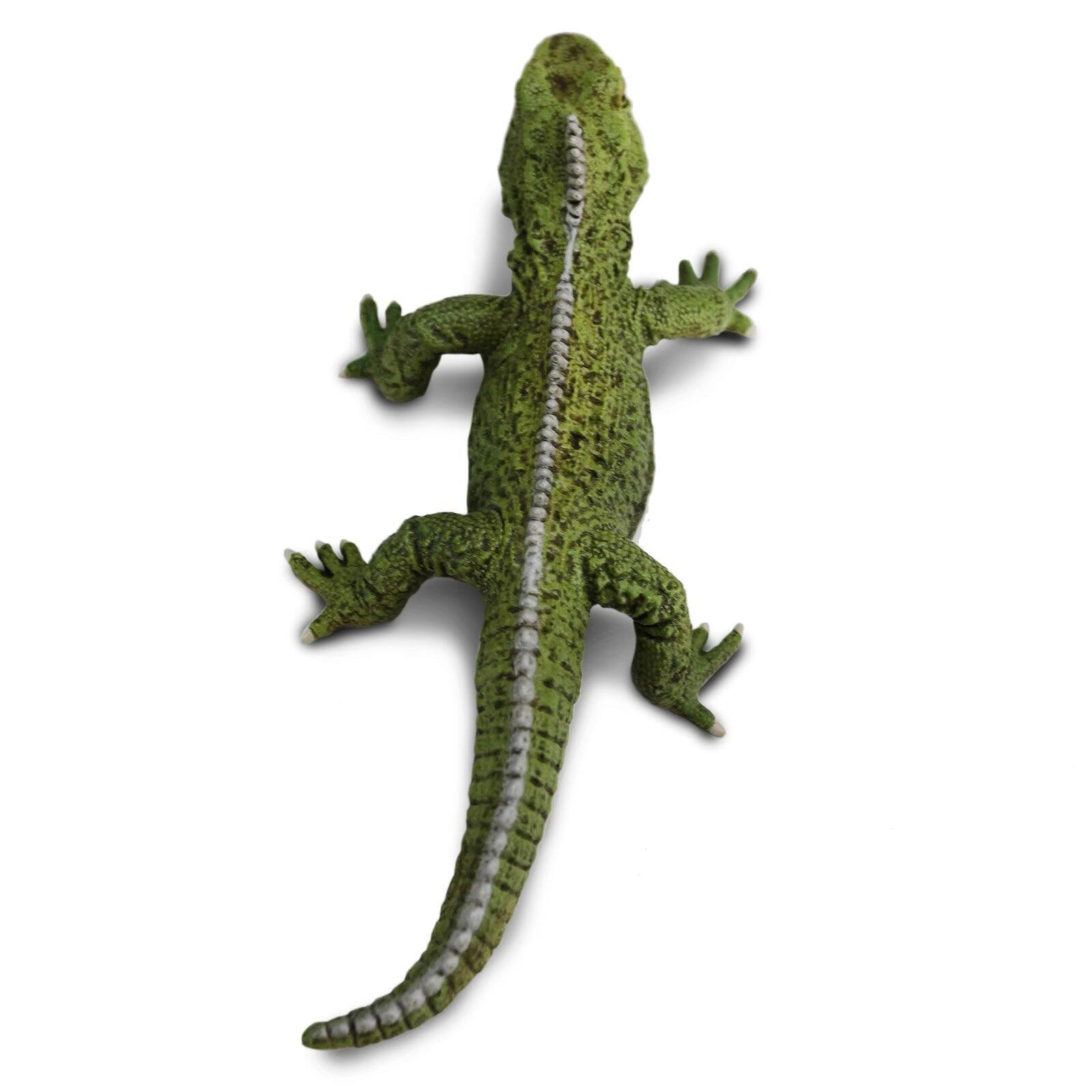 Back. Safari Ltd. - Tuatara Toy Figurine.