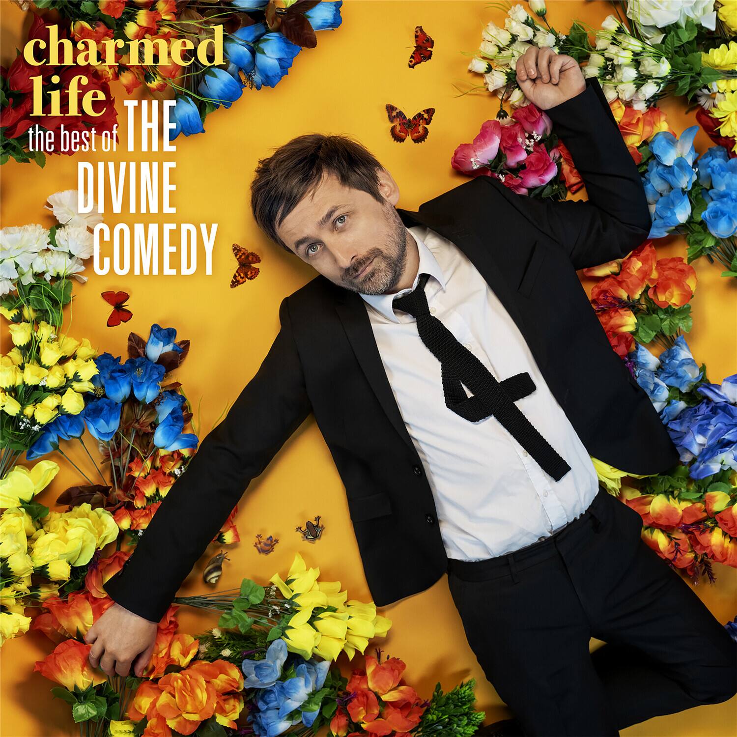 charmed life  
the best of THE DIVINE COMEDY