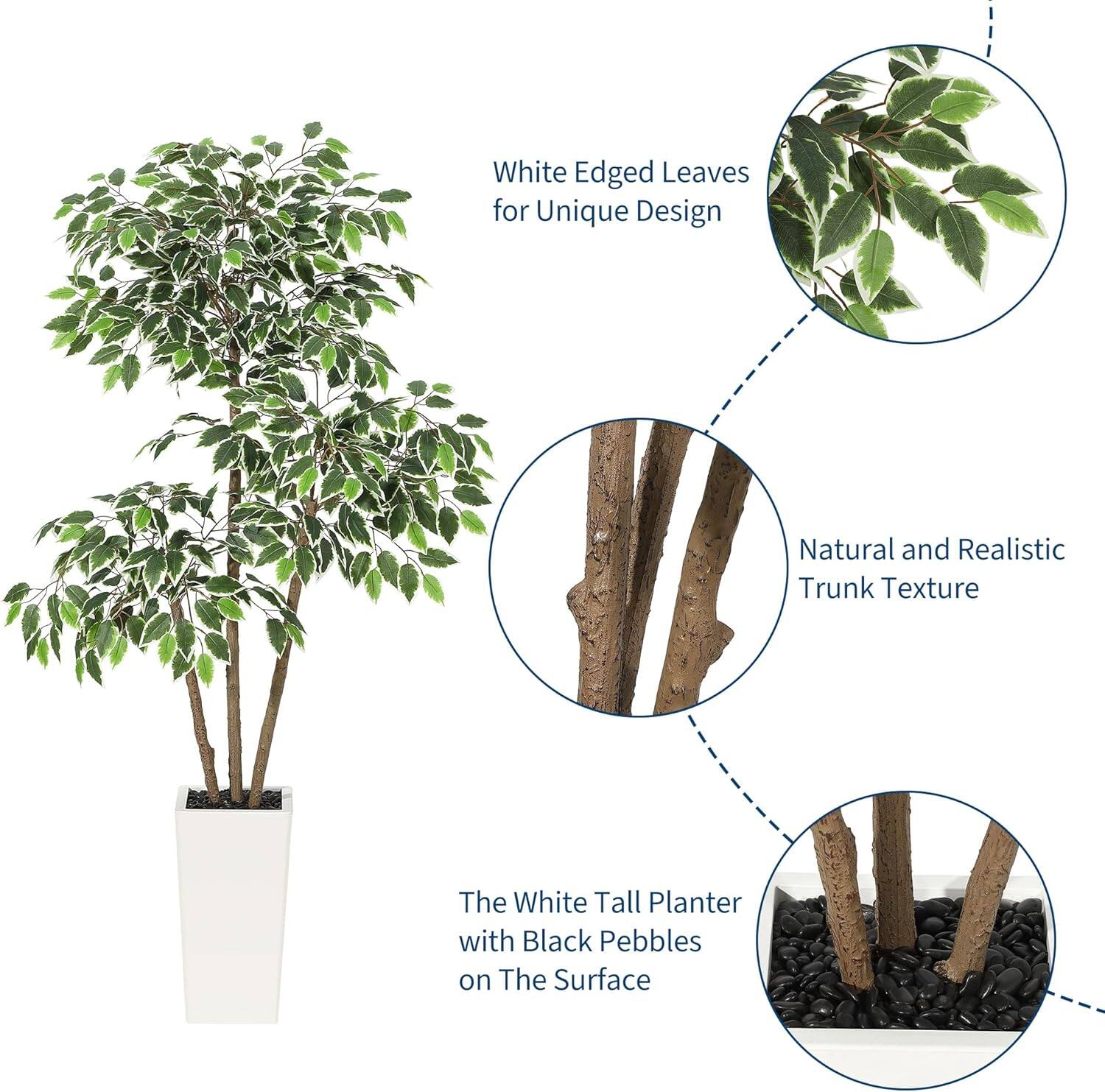 - White Edged Leaves for Unique Design
- Natural and Realistic Trunk Texture
- The White Tall Planter with Black Pebbles on The Surface