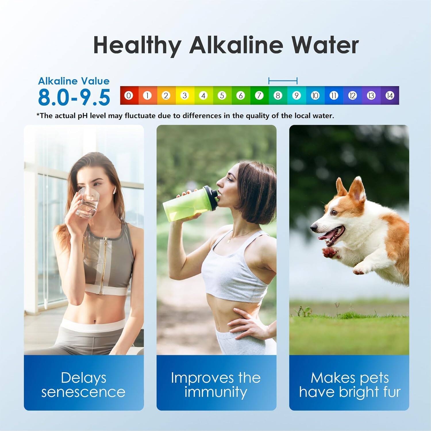 Healthy Alkaline Water

Alkaline Value 8.0-9.5

*The actual pH level may fluctuate due to differences in the quality of the local water.

- Delays senescence
- Improves the immunity
- Makes pets have bright fur