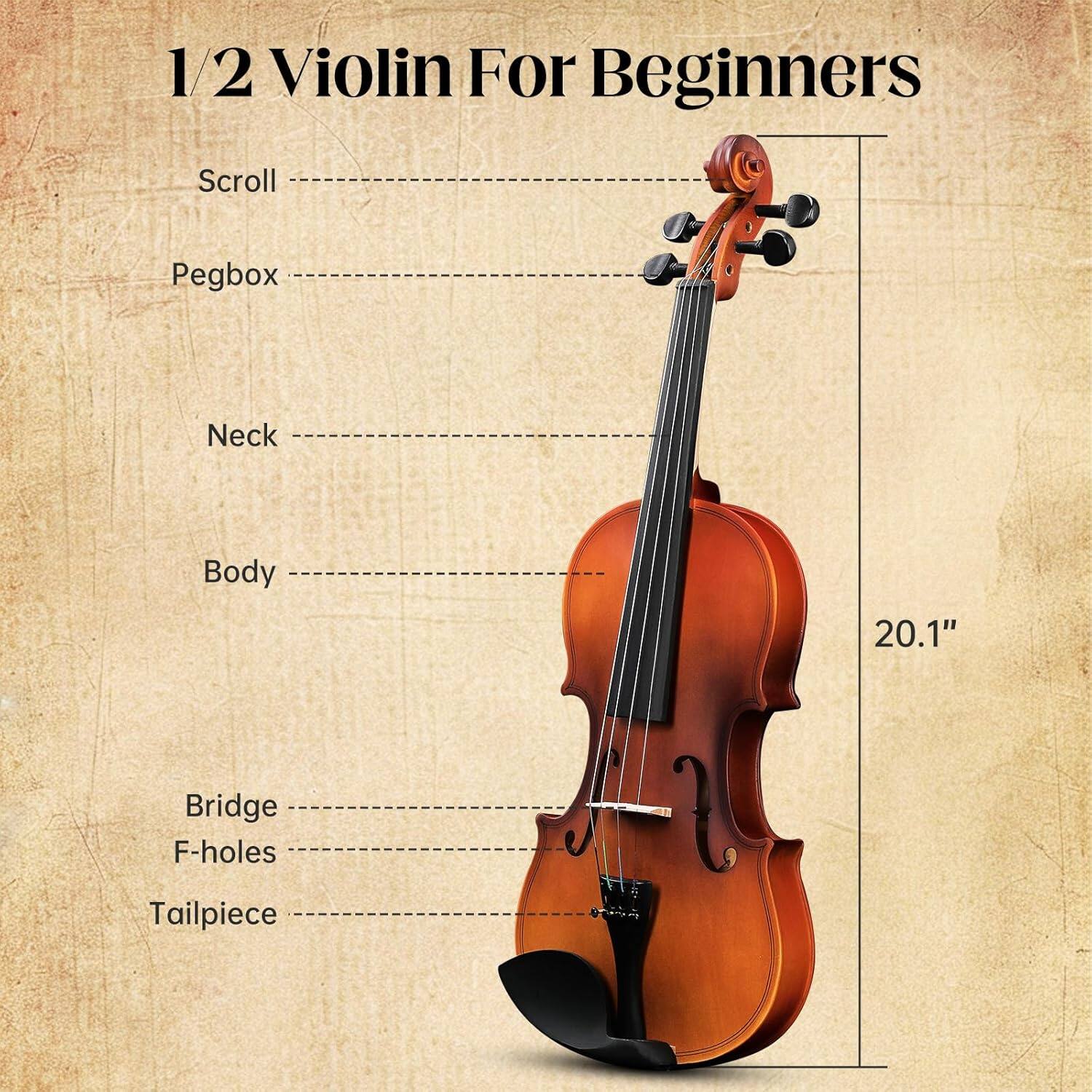 1/2 Violin For Beginners

Scroll
Pegbox
Neck
Body
Bridge
F-holes
Tailpiece

20.1"