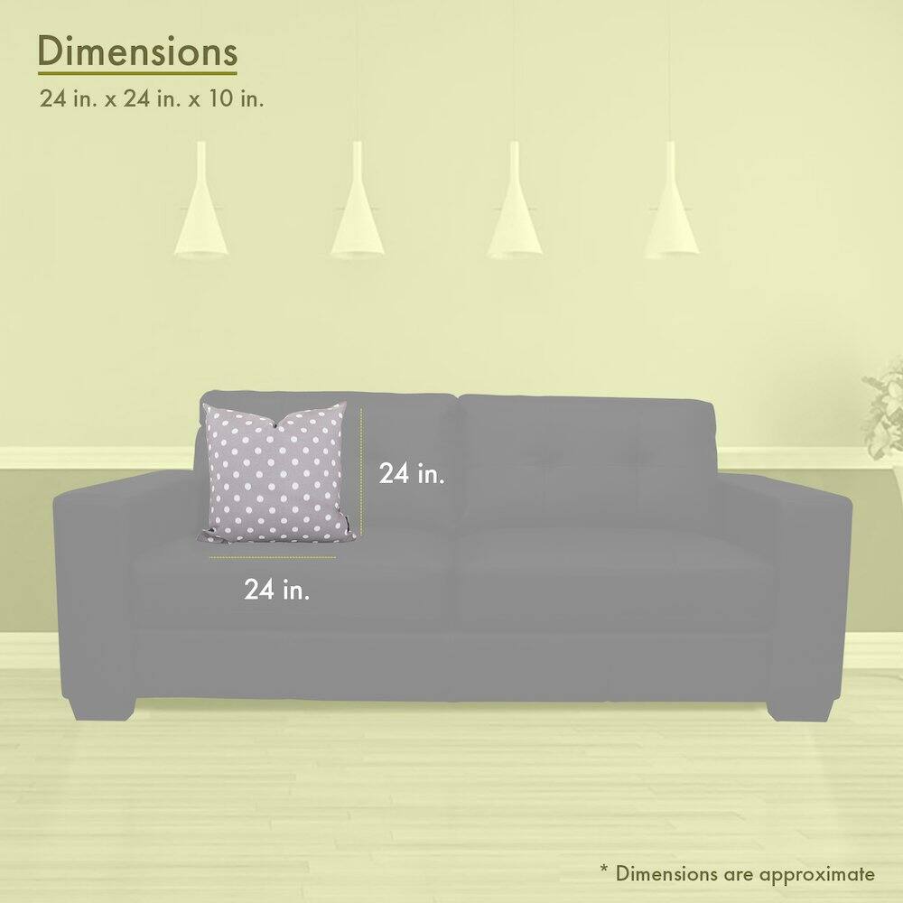 Dimensions  
24 in. x 24 in. x 10 in.  

24 in.  
24 in.  

* Dimensions are approximate