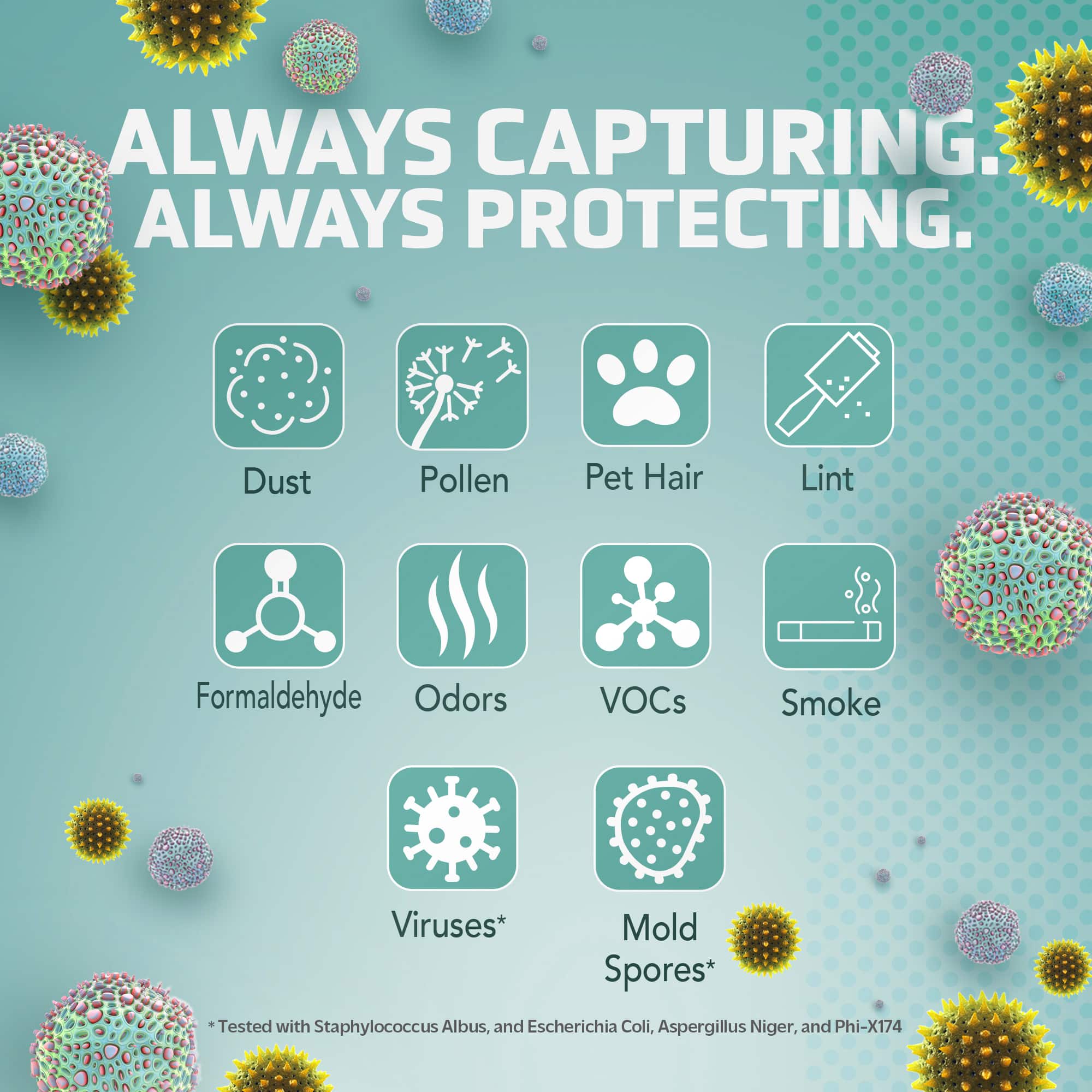 "Always Capturing. Always Protecting."
*Dust
*Pollen
*Pet Hair
*Lint
*Formaldehyde
*Odors
*VOCs
*Smoke
*Viruses
*Mold
*Spore