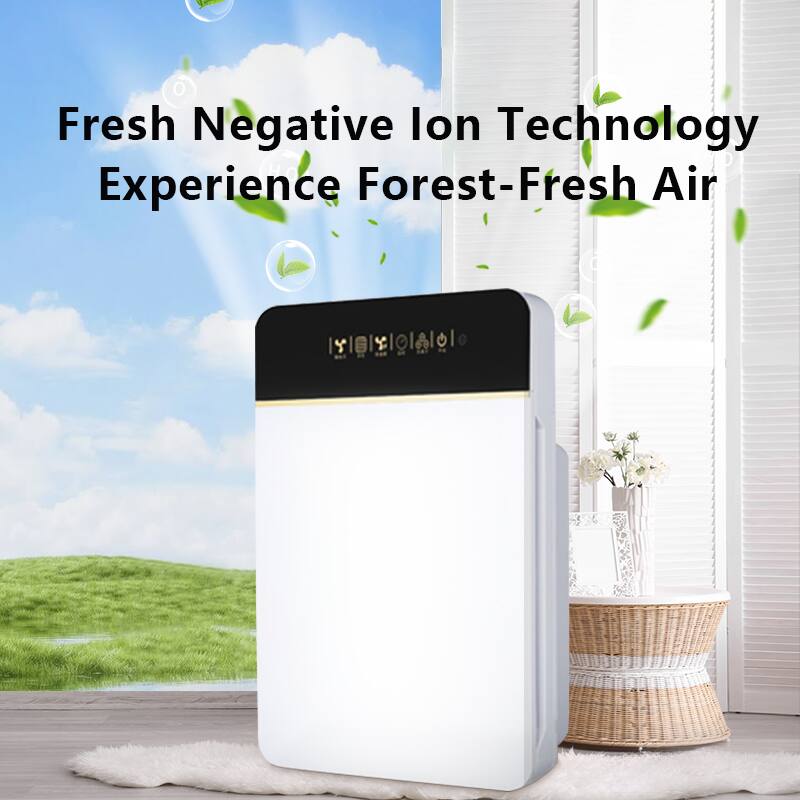 Fresh Negative Ion Technology Experience Forest-Fresh Air