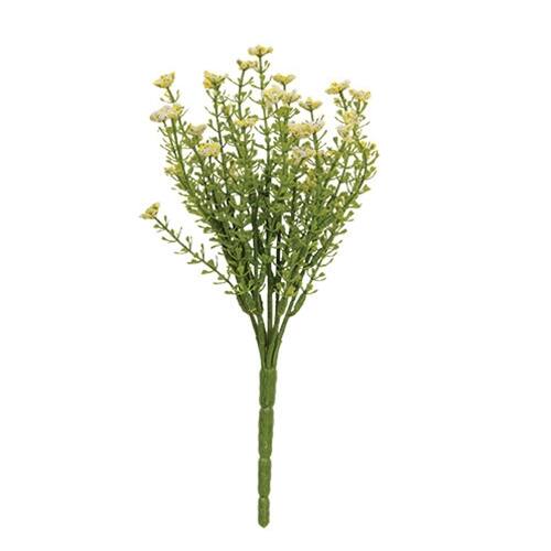 Front. BreeBe - White Astilbe Bush 10.5" - White.