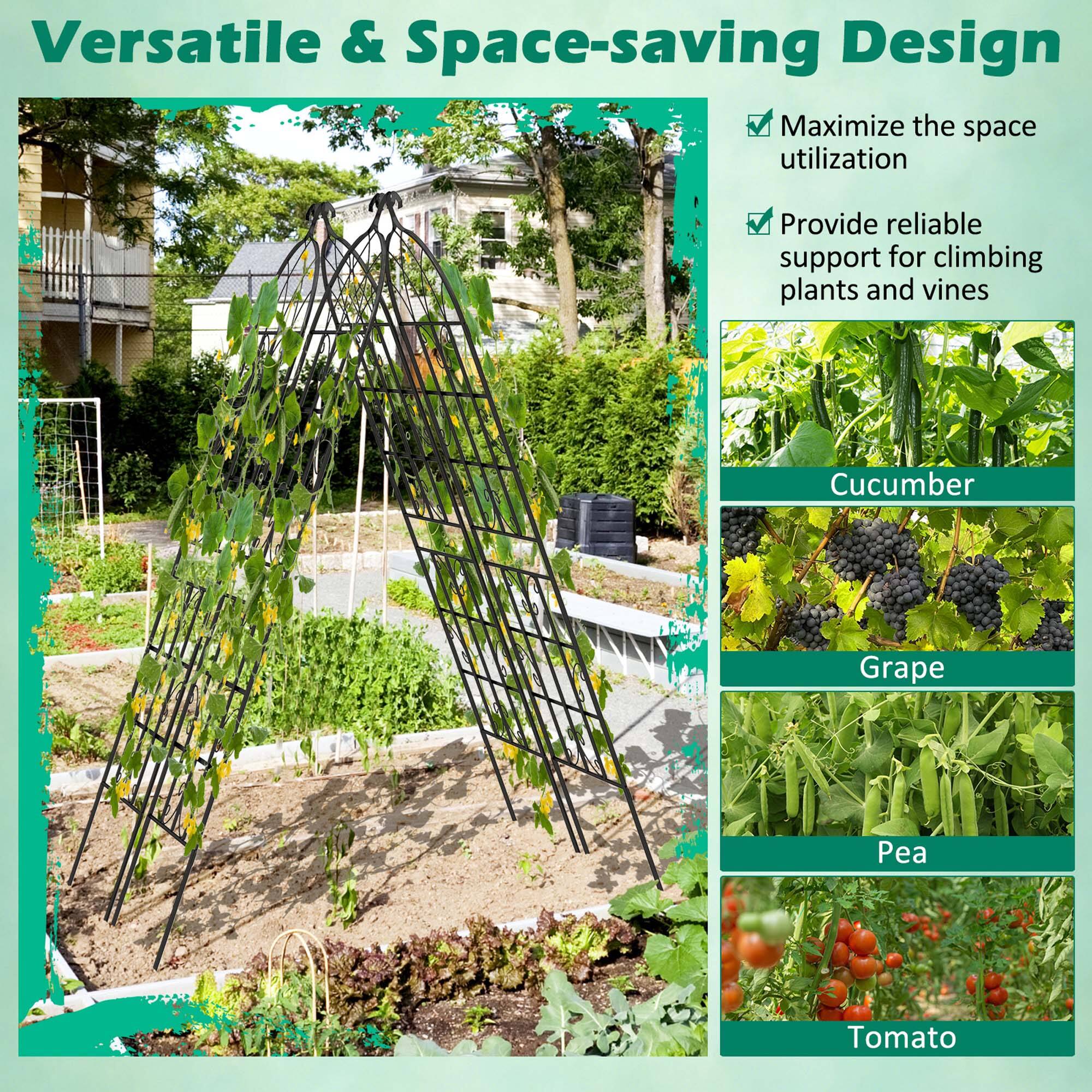 Versatile & Space-saving Design

Maximize the space utilization  
Provide reliable support for climbing plants and vines

- Cucumber
- Grape
- Pea
- Tomato