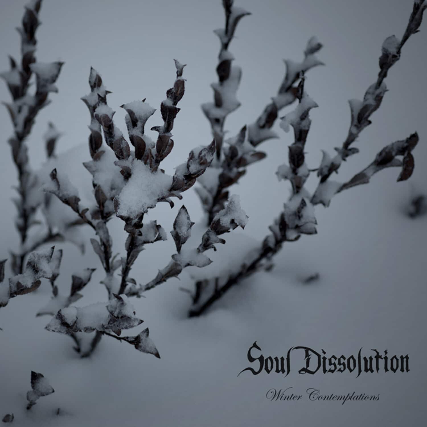 Soul Dissolution - Winter Contemplations   - COMPACT DISCS [CD] price history on PriceWatchPro
