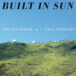 Built in Sun - Built in Sun - VINYL LP