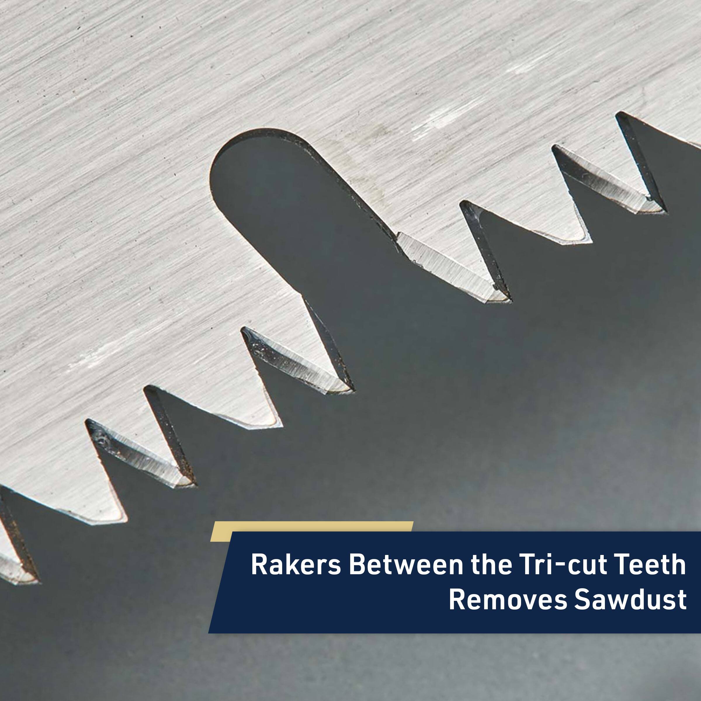 Rakers Between the Tri-cut Teeth Removes Sawdust