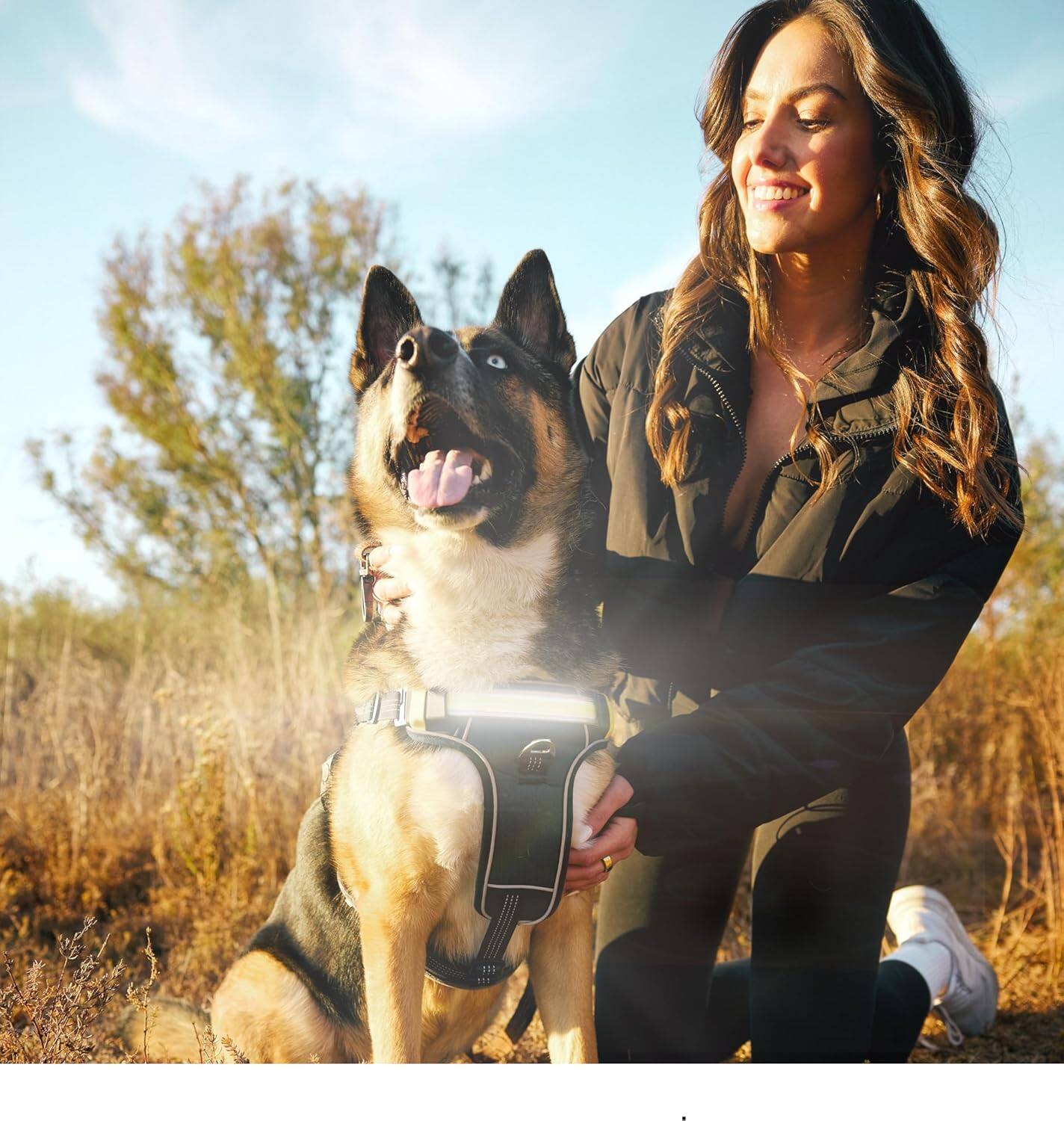 Alt View 1. Lumi Pawtners - Lumi One LED Dog Harness Black - Black.