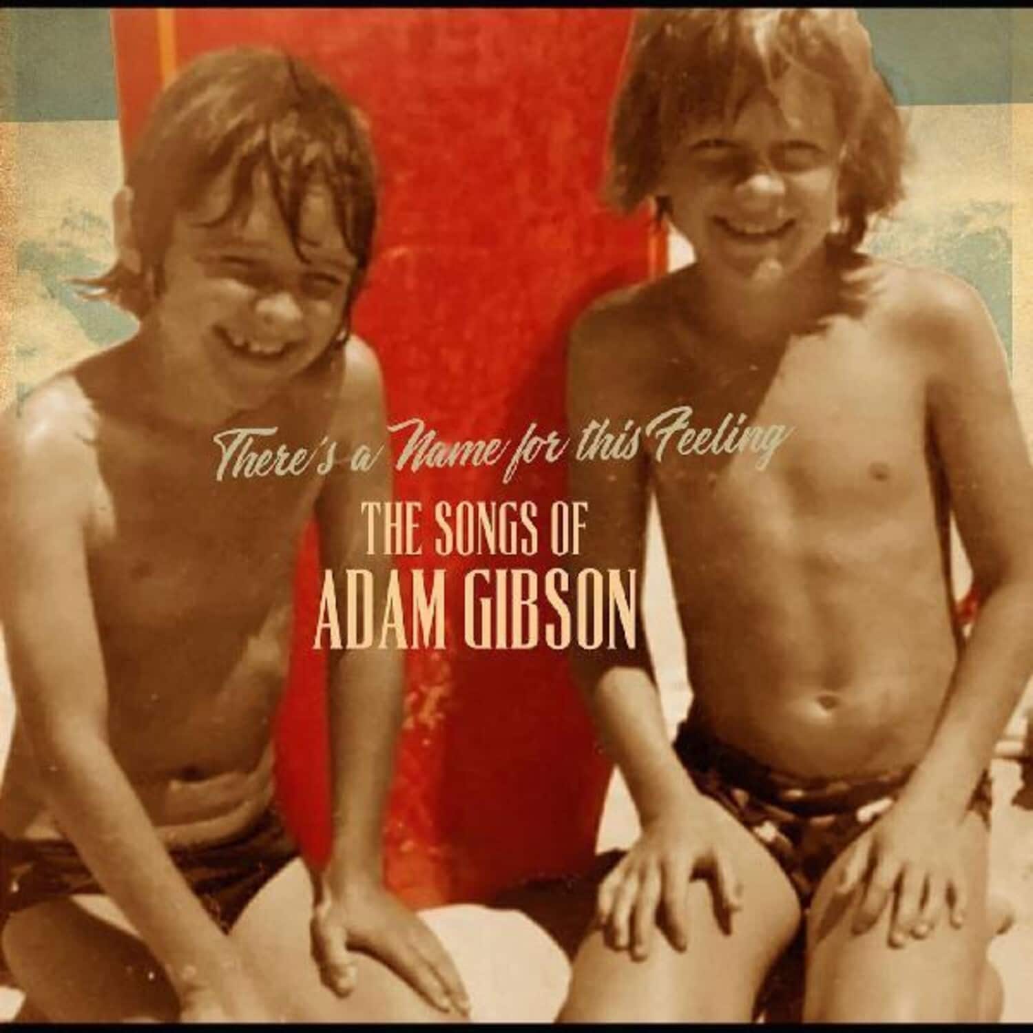 Adam Gibson - Songs Of Adam Gibson   - VINYL LP price history on PriceWatchPro