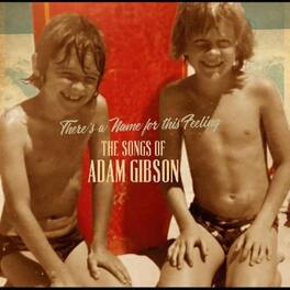 Adam Gibson - Songs Of Adam Gibson - VINYL LP