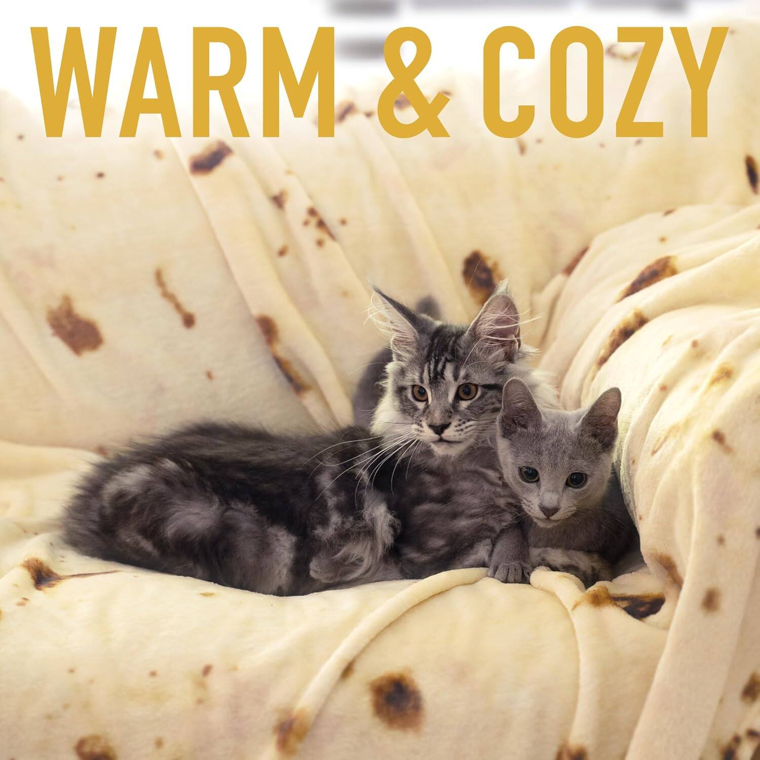 WARM & COZY