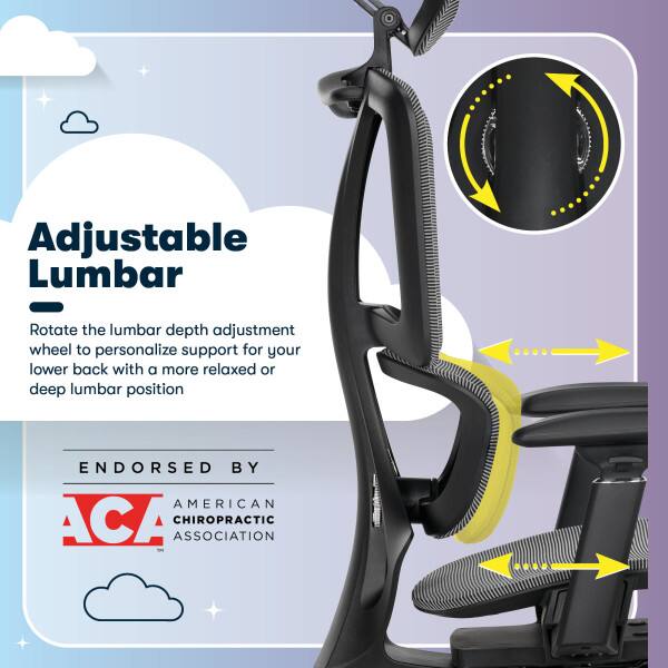 Adjustable Lumbar  
Rotate the lumbar depth adjustment wheel to personalize support for your lower back with a more relaxed or deep lumbar position.  

ENDORSED BY  
AMERICAN CHIROPRACTIC ASSOCIATION