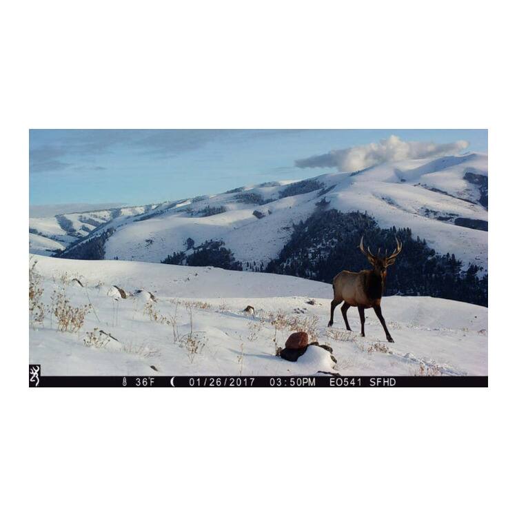 The corrected text is:

8 36F (F) 01/26/2017 01/26 03:50PM E0541 SFHD