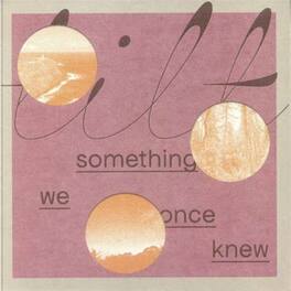Tilt - Something We Once Knew - VINYL LP