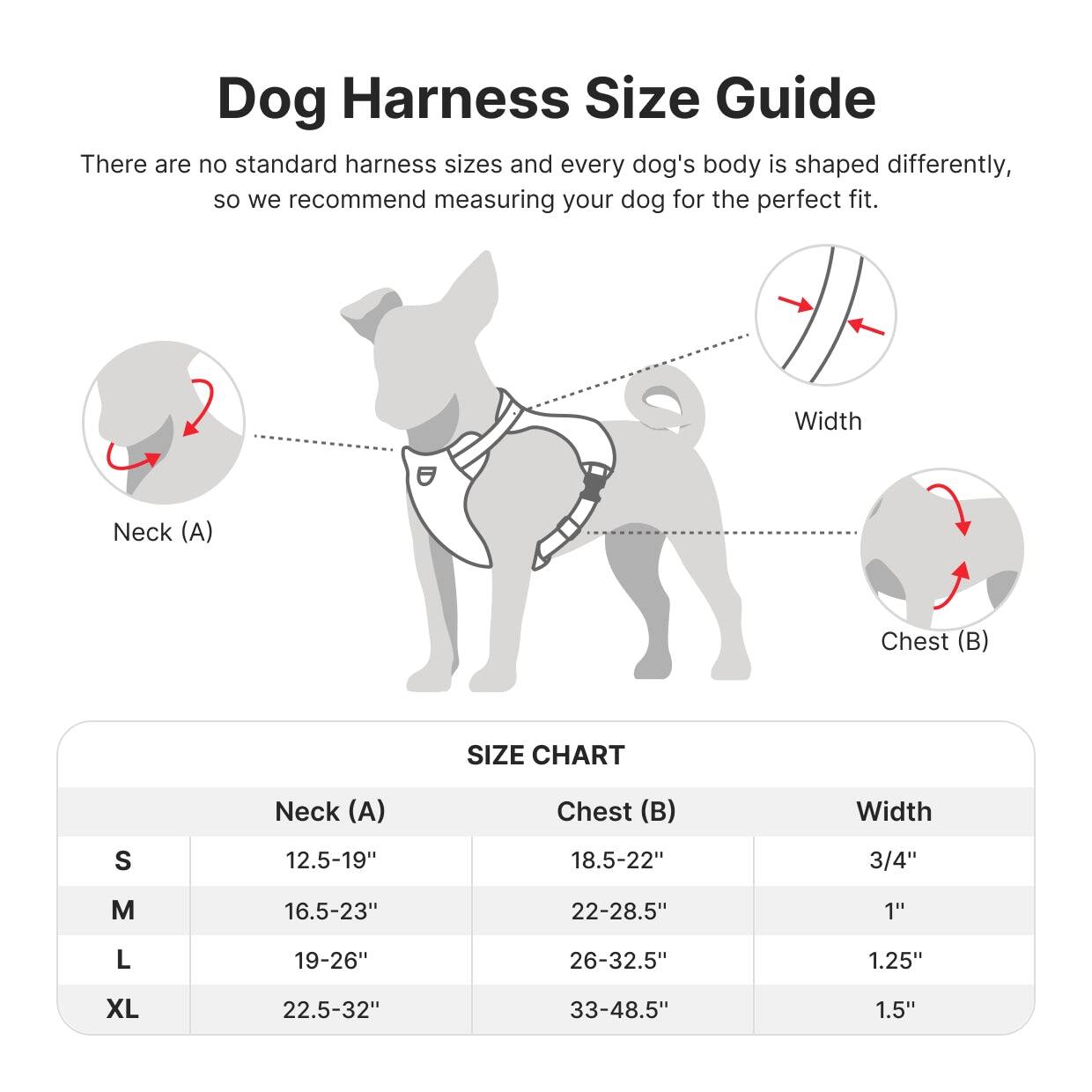 Dog Harness Size Guide

There are no standard harness sizes and every dog's body is shaped differently, so we recommend measuring your dog for the perfect fit.

- Neck (A)
- Width
- Chest (B)

SIZE CHART

| Size | Neck (A) | Chest (B) | Width |
|------|---------|----------|-------|
| S    | 12.5-19" | 18.5-22"  | 3/4"  |
| M    | 16.5-23" | 22-28.5"  | 1"    |
| L    | 19-26"   | 26-32.5"  | 1.25" |
| XL   | 22.5-32" | 33-48.5"  | 1.5"  |