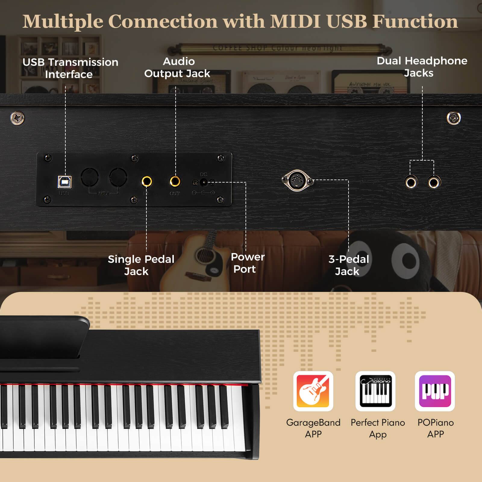 Multiple Connection with MIDI USB Function

- USB Transmission Interface
- Audio Output Jack
- Dual Headphone Jacks
- Single Pedal Jack
- Power Port
- 3-Pedal Jack

GarageBand APP
Perfect Piano App
POPiano APP