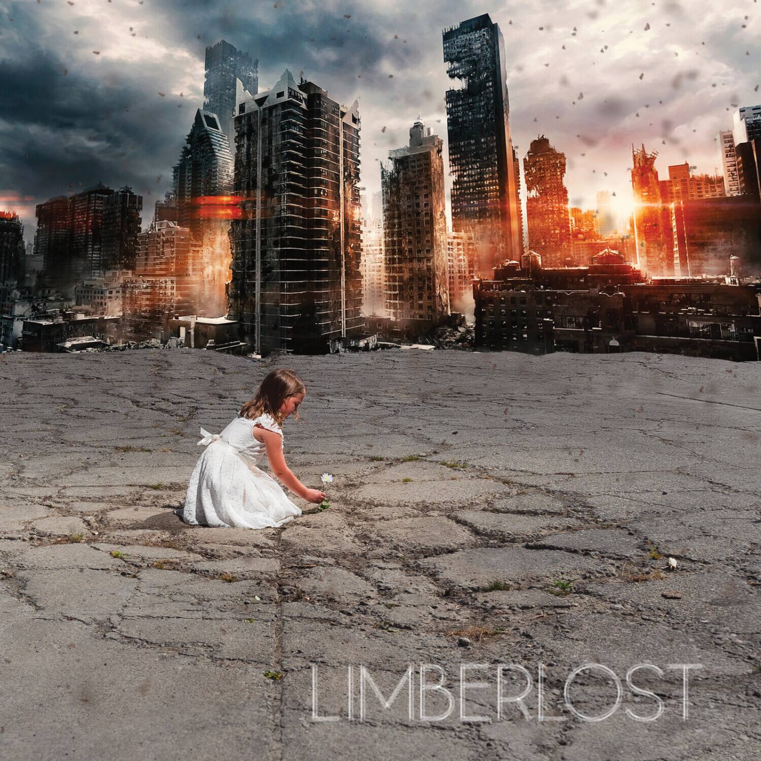Limberlost - Good Fight   - COMPACT DISCS [CD]
