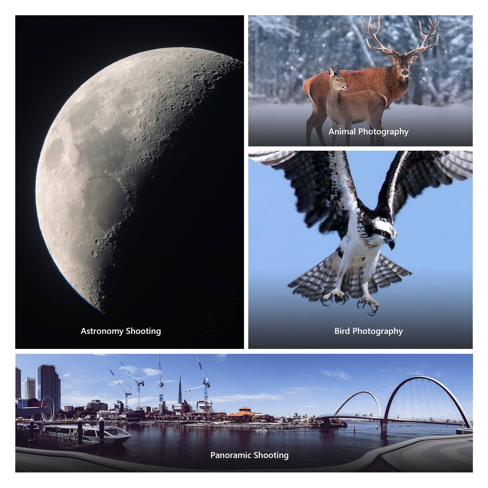 - Animal Photography
- Astronomy Shooting
- Bird Photography
- Panoramic Shooting