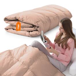 Cheer Collection - Queen Comforter - All Season Down Alternative Comforter - Taupe