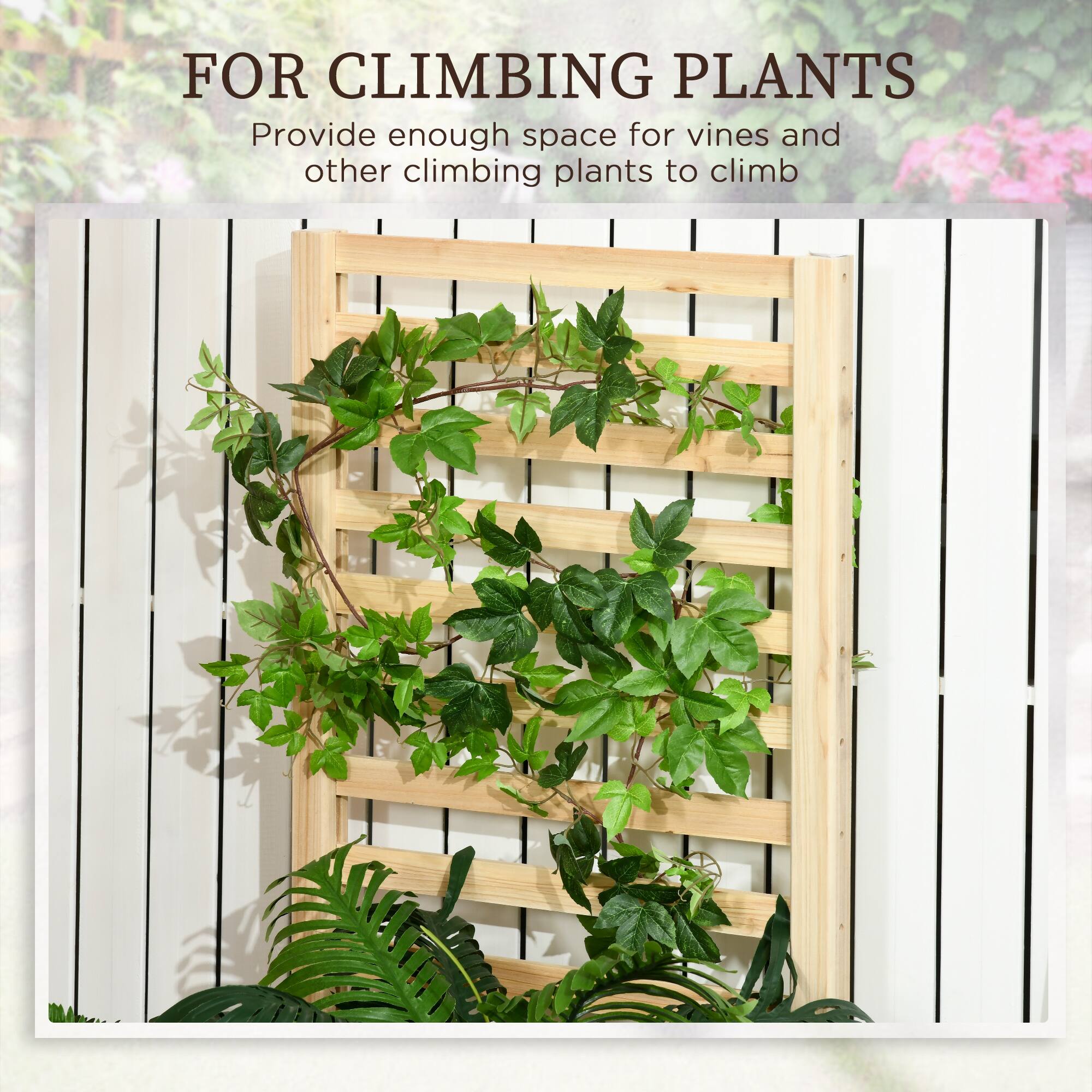 FOR CLIMBING PLANTS
Provide enough space for vines and other climbing plants to climb