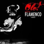 Front. Ole! Art of the Flamenco [CD].
