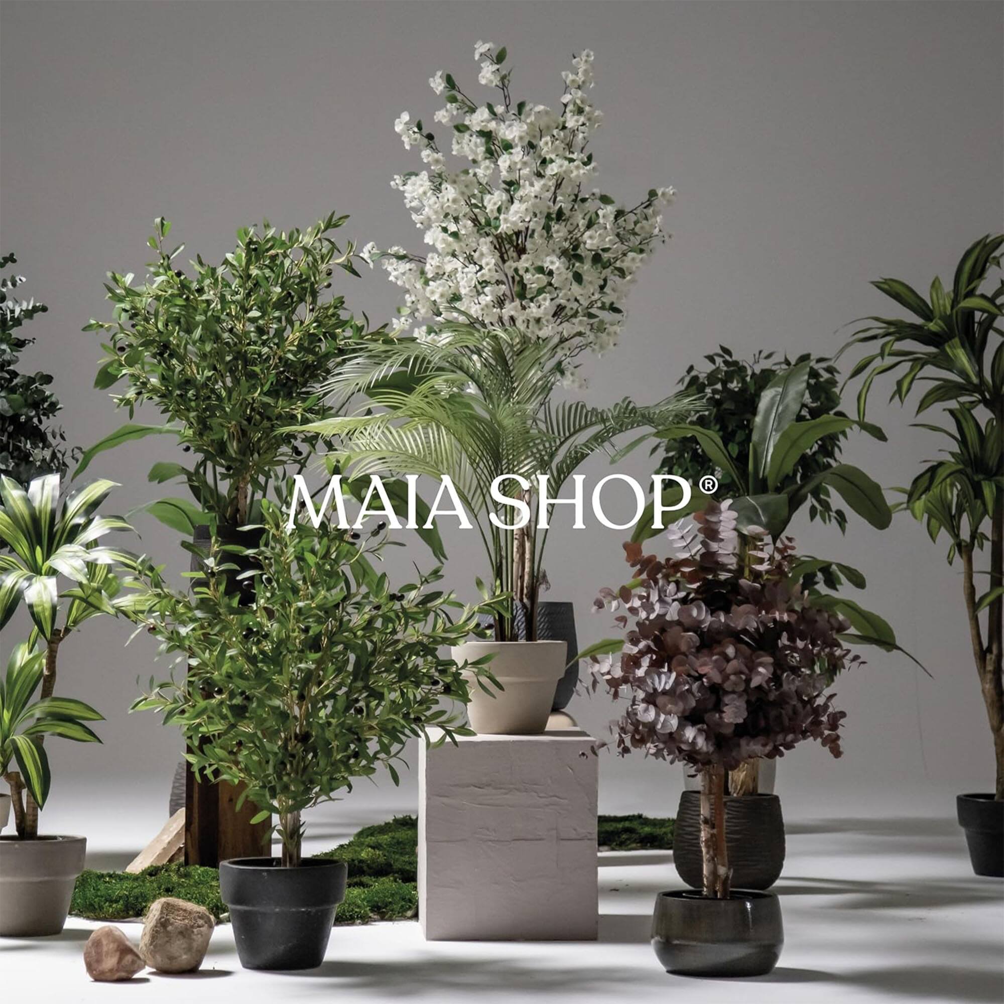 MAIA SHOP®