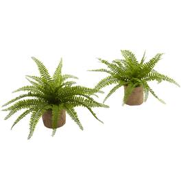 BreeBe - Boston Fern w/Burlap Planter (Set of 2) - Green