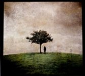 Front Standard. The Burial Tree II [CD].