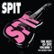 Front Standard. The  Best of Spit, Vol. 1: The Guitar Years [CD].