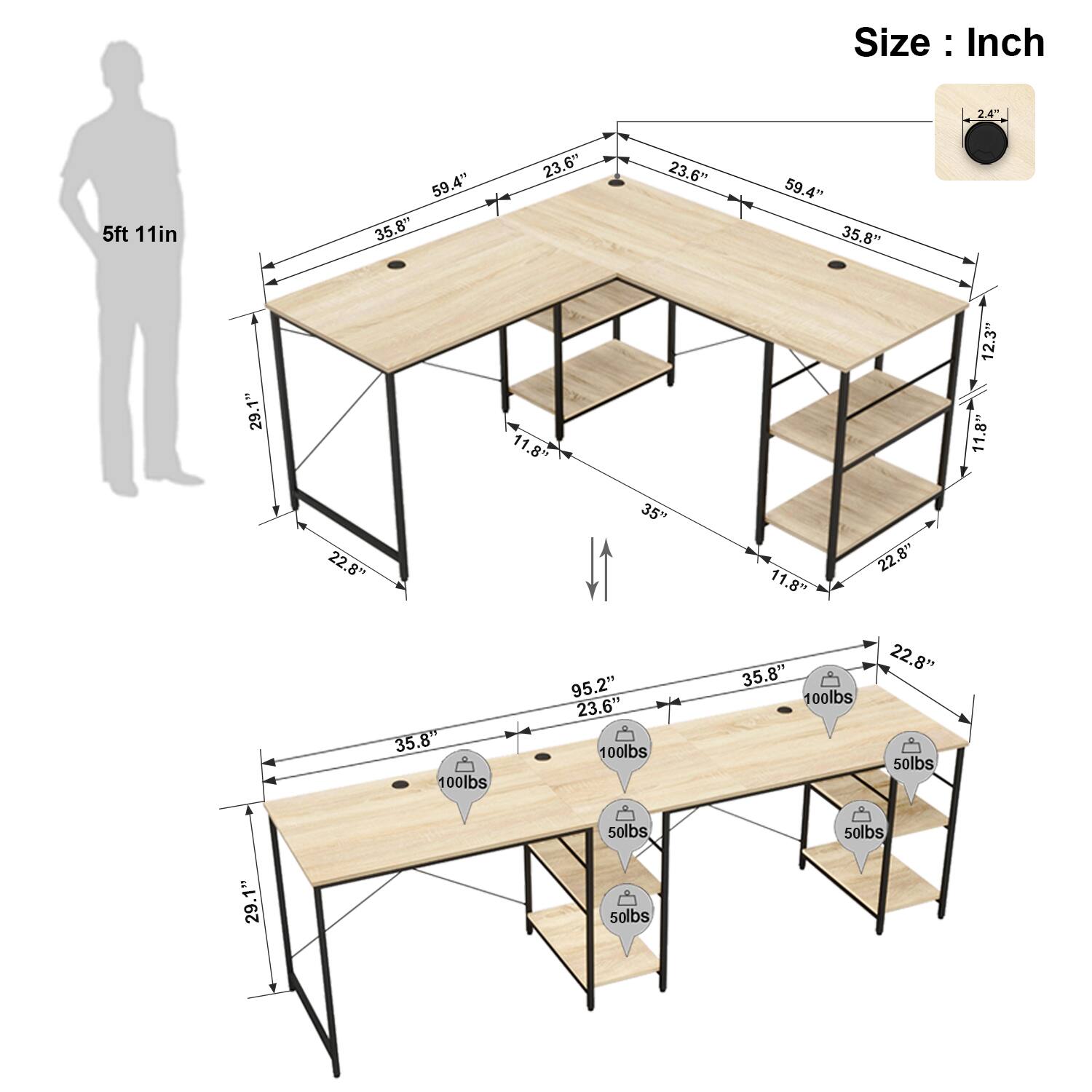 The text on the image is as follows:

1. Size: 2.4" 5ft 11in 59.4" 35.8" 23.6" 23.6" 59.4" 35.8" 29.1" 11.8" 12.3" 11.8" 22.8" 35" 11.8" 22.8" 35.8" 100lbs 95.2" 23.6" 100lbs 35.8" 100lbs 22.8" 50lbs & 50lbs 50lbs = 29.1" 50lbs F

The corrected text is as follows:

1. Size: 2.4" 5ft 11in 59.4" 35.8" 23.6" 23.6" 59.4" 35.8" 29.1" 11.8" 12.3" 11.8" 22.8" 35" 11.8" 22.8" 35.8" 100lbs 95.2" 23.6" 100lbs 35.8" 100lbs 22.8" 50lbs & 50lbs 50lbs = 29.1" 50lbs F