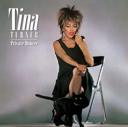 Tina Turner
Private Dancer