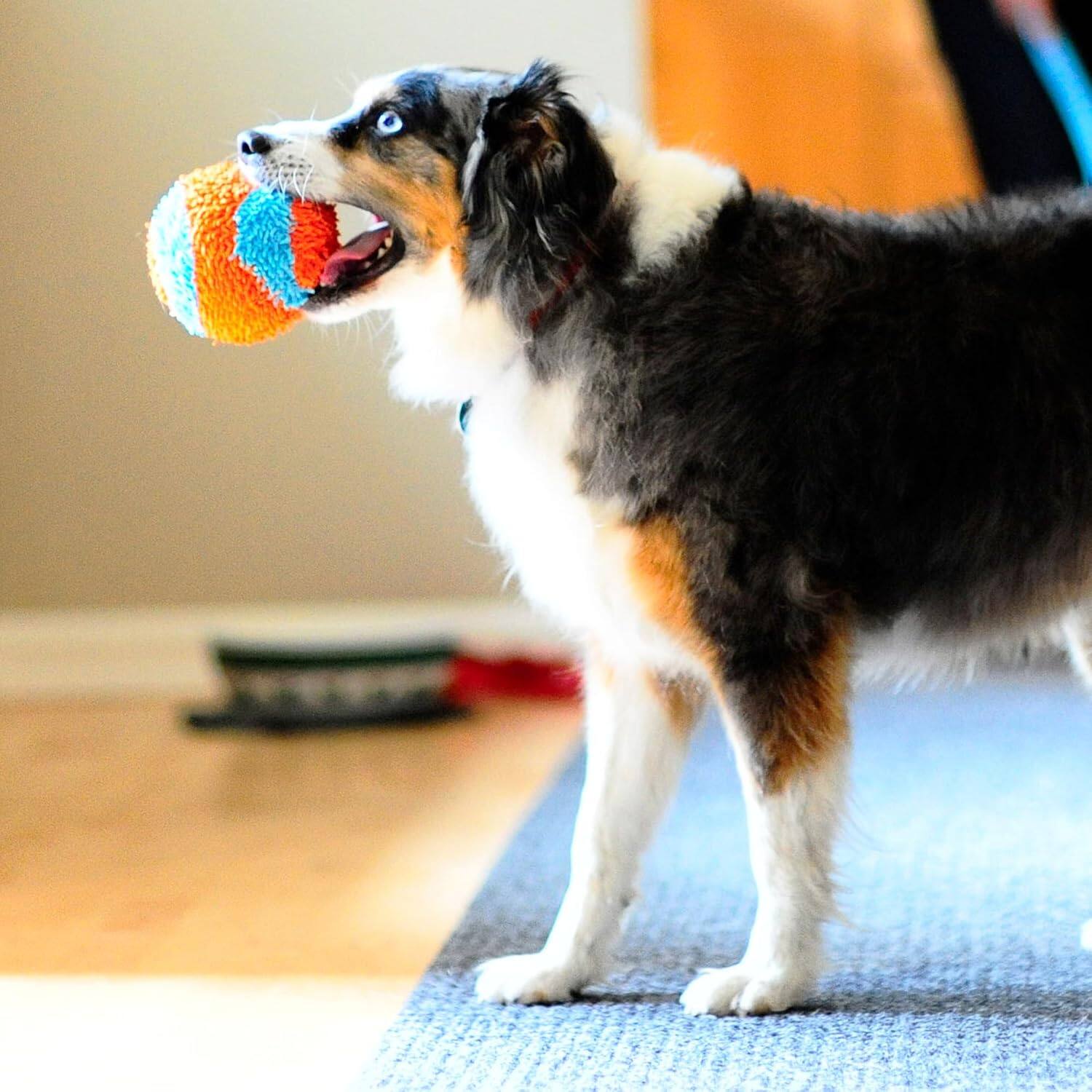 Alt View 1. ChuckIt! - Chuckit! Indoor Fetch Ball Dog Toy, 4.75in, Orange and Blue - Blue | Orange.