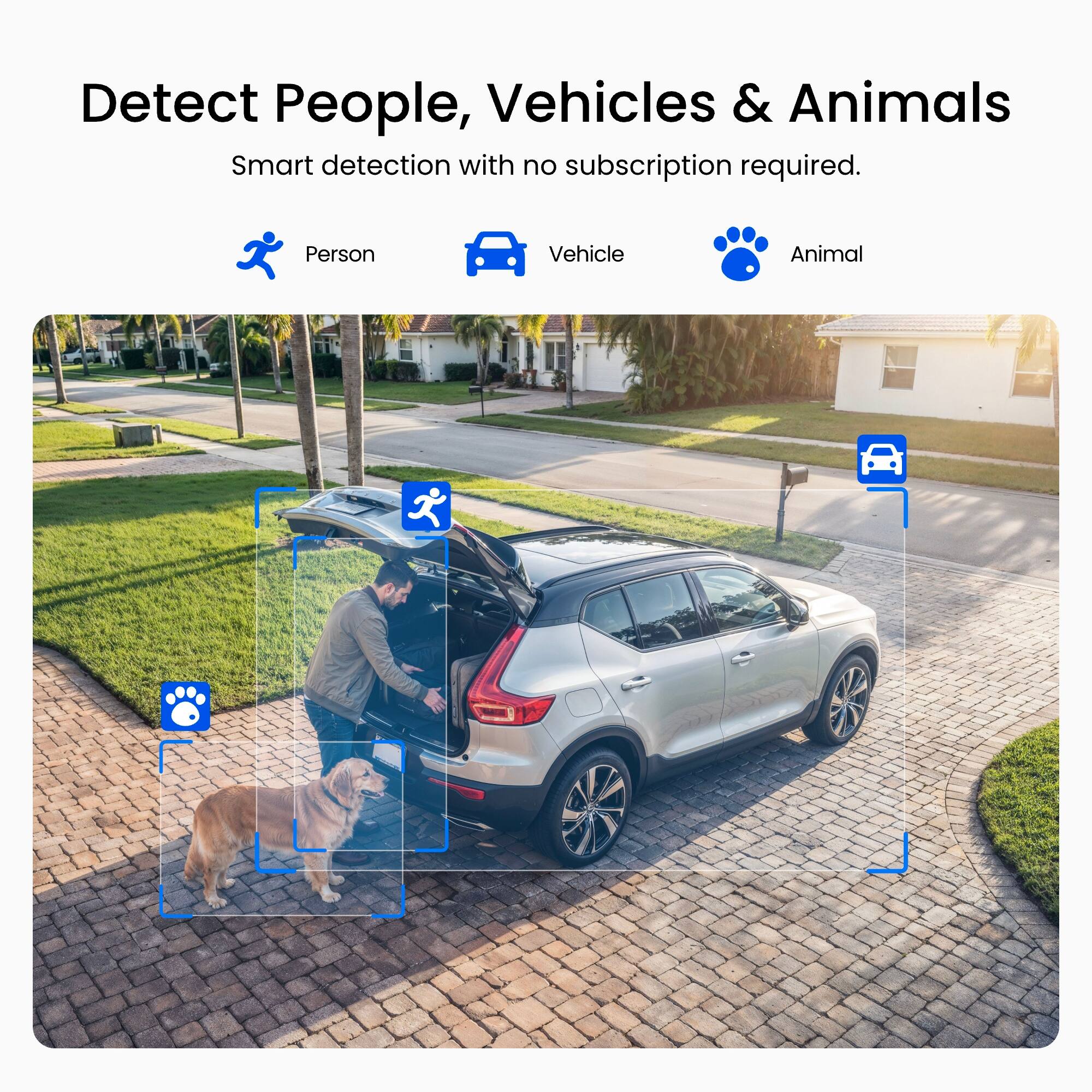 Detect People, Vehicles & Animals  
Smart detection with no subscription required.  
Person  
Vehicle  
Animal