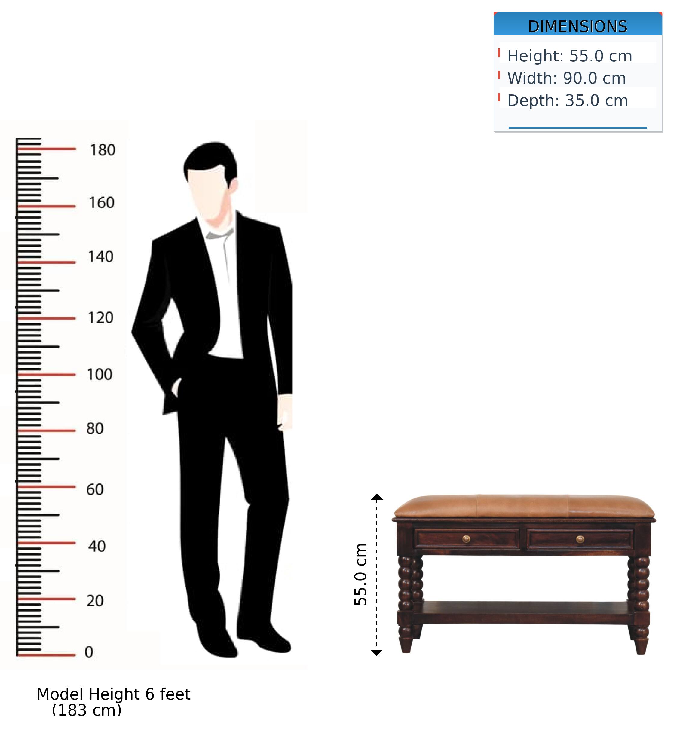 DIMENSIONS  
Height: 55.0 cm  
Width: 90.0 cm  
Depth: 35.0 cm  

Model Height: 6 feet (183 cm)